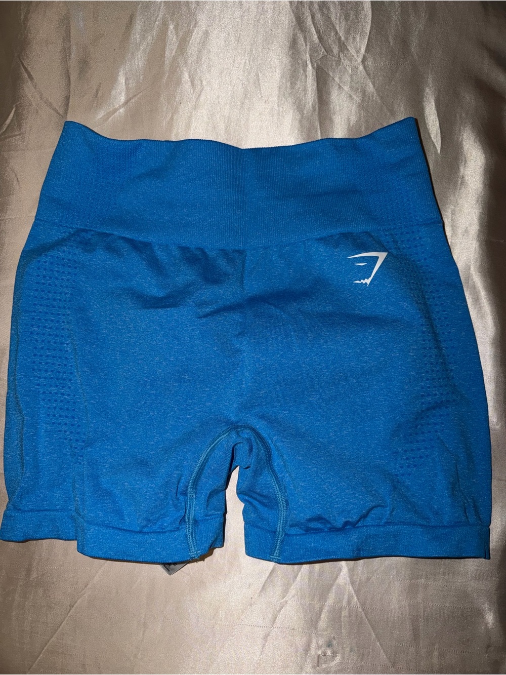 Gymshark Women’s Bright Blue Seamless Training Bike Shorts